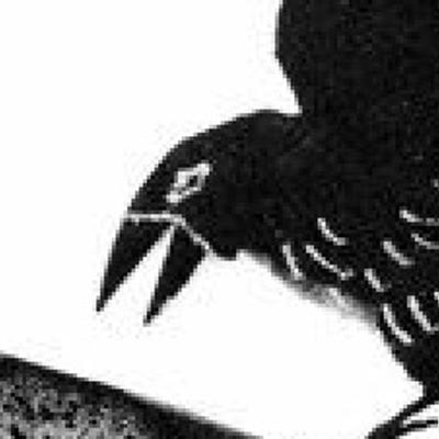 Avatar for 未选择任何文件