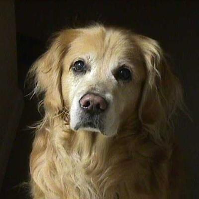 Avatar for Edge 🇨🇦🇲🇽🇺🇦🏳️‍🌈