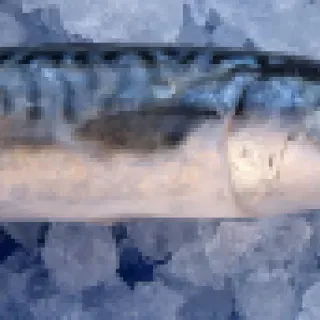 Avatar for Читсан
