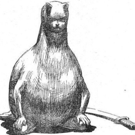 Avatar for :sparkles_rainbow:ゆずる:sparkles_rainbow: