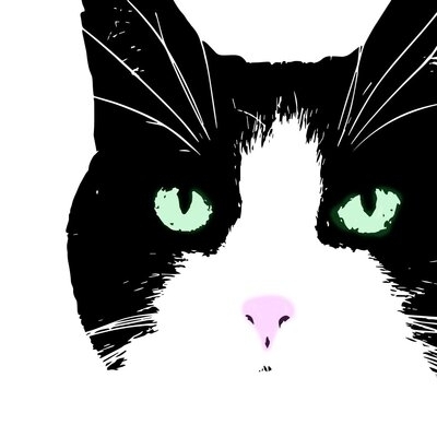 Avatar for CartyBoston