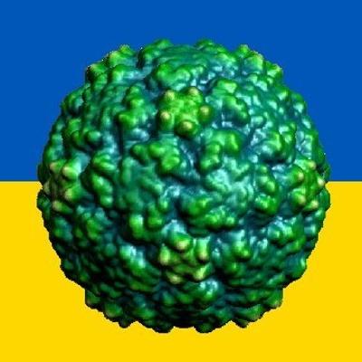 Avatar for Ian M. Mackay, PhD (he/him)