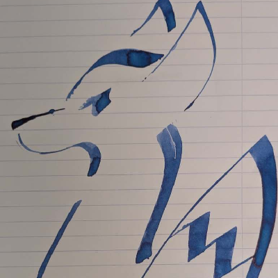 Avatar for Problem Fox