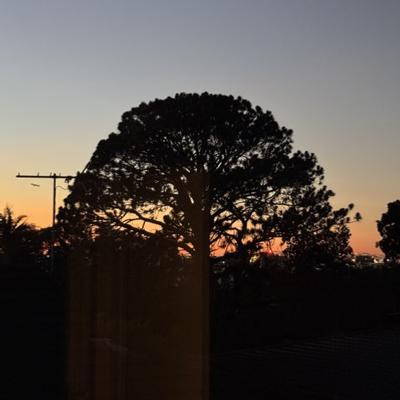 Avatar for Frank’s Ting