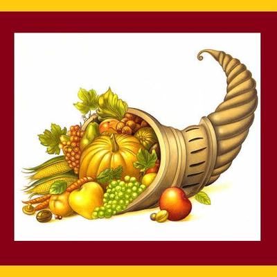 Avatar for Ann, trad turkeyist 🦃