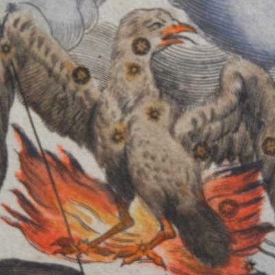 Avatar for NiftyLinks