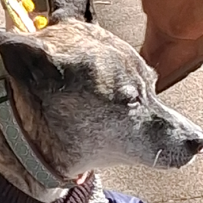 Avatar for JustBob 🪖🇺🇸♒️