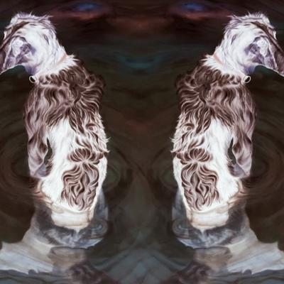 Avatar for Lluís Miquel Soto ✊🏿⛏️💪!