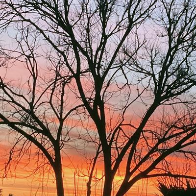 Avatar for Lluís Miquel Soto ✊🏿⛏️💪!