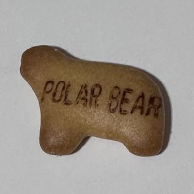 Avatar for Flock of Cats 🐈 🐈 🐈 🦃