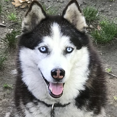 Avatar for Dissent Doe  :cupofcoffee: