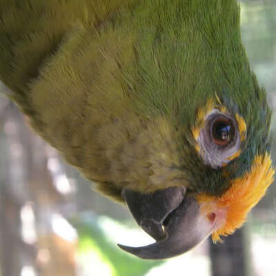 @peachfront@toot.community