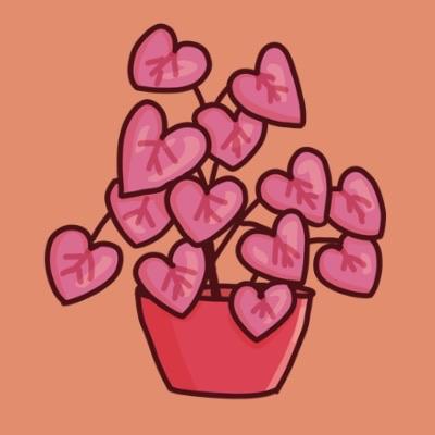 Avatar for Clare Hooley