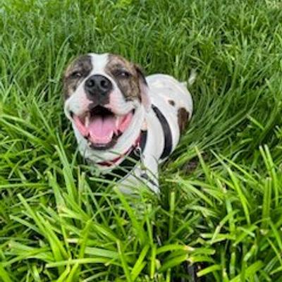 Avatar for Julie Hughes