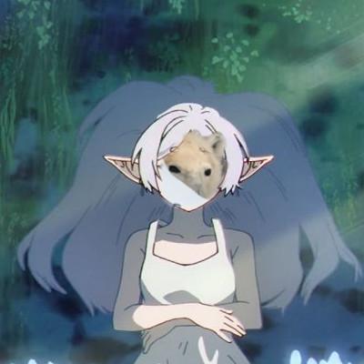 Avatar for sousou no hugu