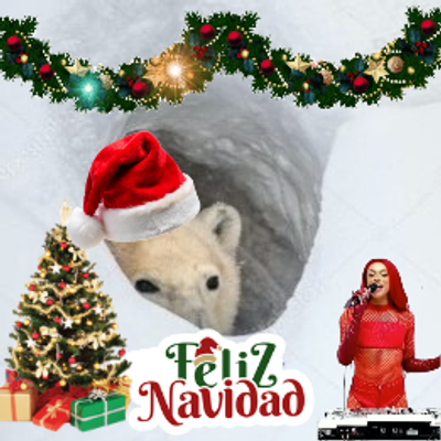 Avatar for R U ready to jingle ur bells?