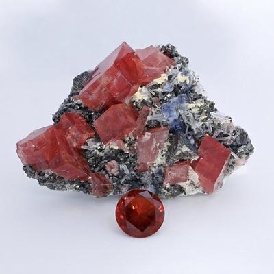 Avatar for Mineral Cup