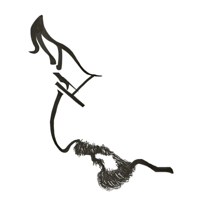 Avatar for Sergio VDS