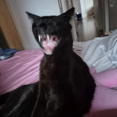 Avatar for Palhaço Gozo 🤡