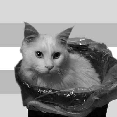Avatar for Katze von Schrott