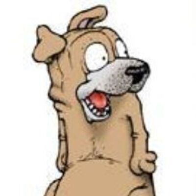 Avatar for Luca Sironi
