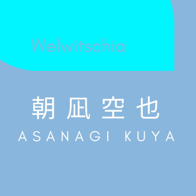 Avatar for 朝凪空也💙💛