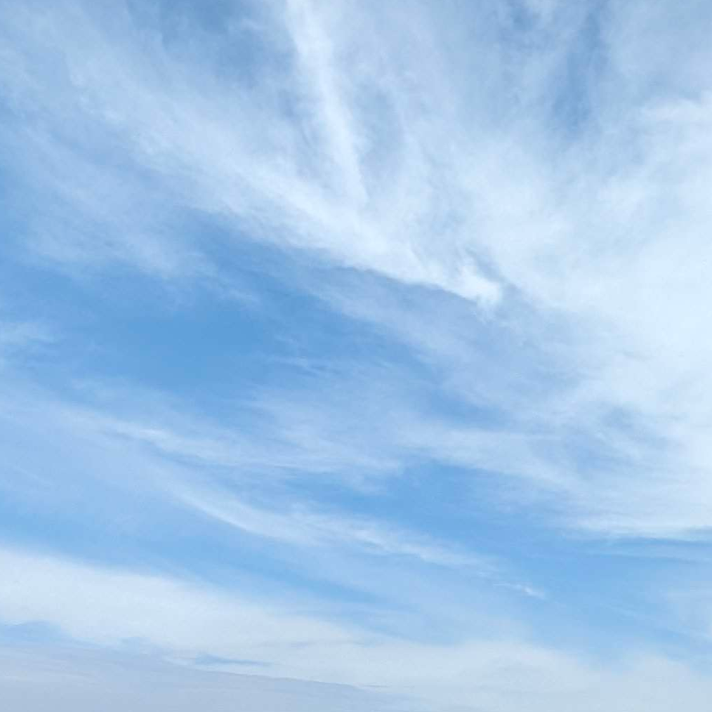 Avatar for ‮どせ