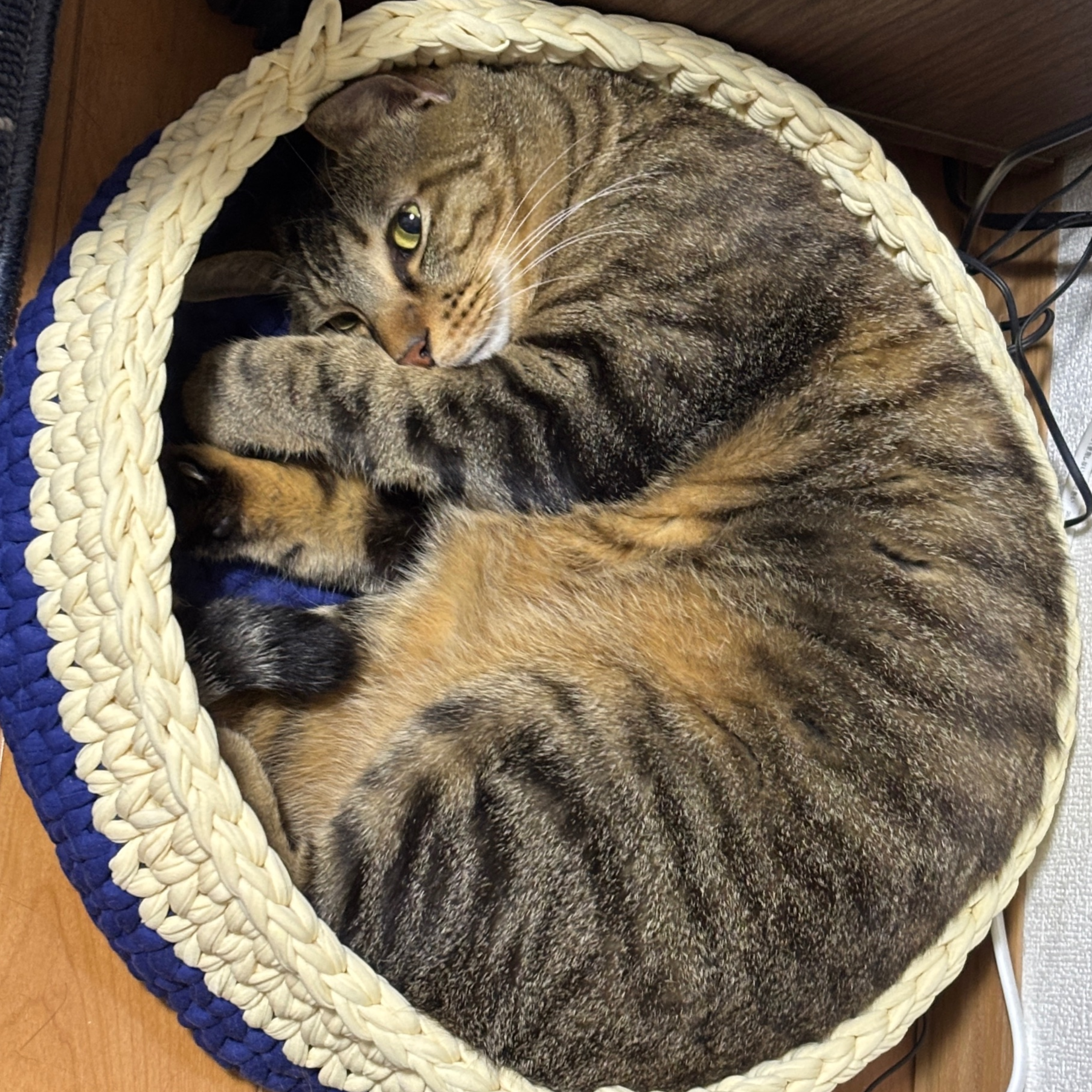 Avatar for あまみやまろん