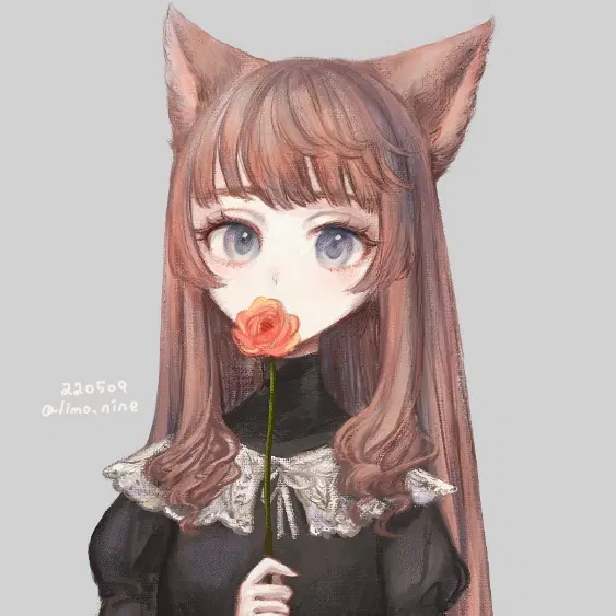 Avatar for limo