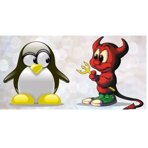 Avatar for Moved to https://mk.absturztau.be/@Linux
