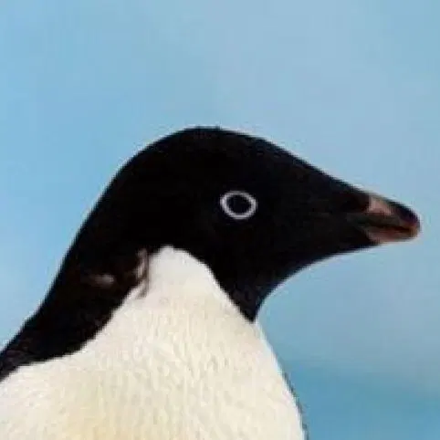 Avatar for 🐧 요즈미나 :linux_tux: