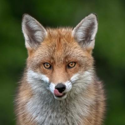 Avatar for Vicky Outen Photo DPAGB