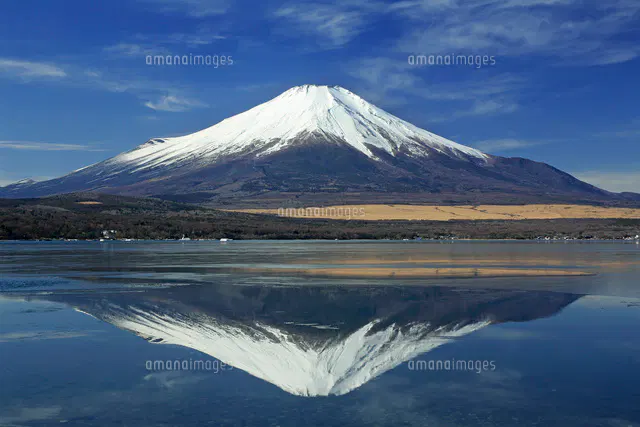 Avatar for 仁川三六五一