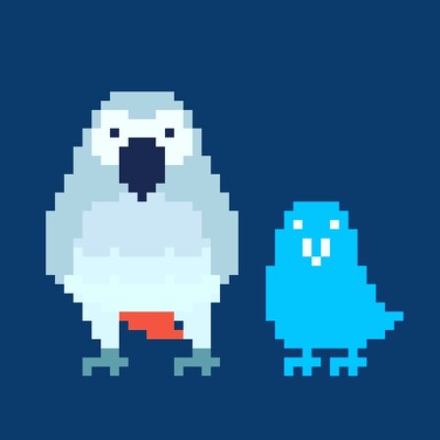 Avatar for 灰鸚鵡