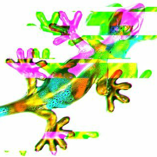 Avatar for よしざき