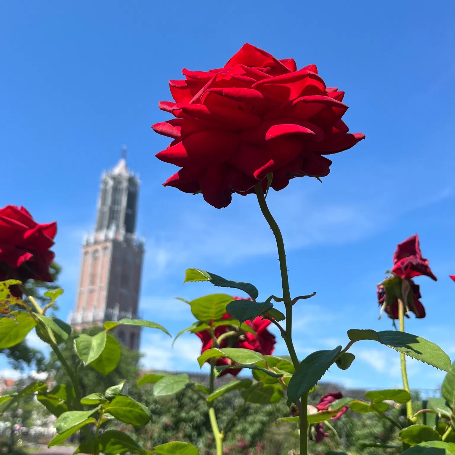 Avatar for 佐原バム