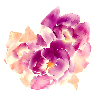 Avatar for 櫛
