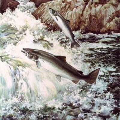 Avatar for upstreamism