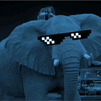 Avatar for social elephant in the room