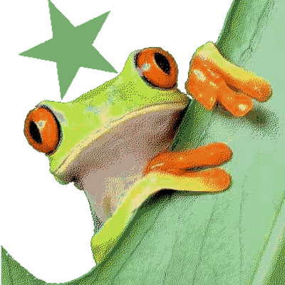 Avatar for Verda Majorano ⁂