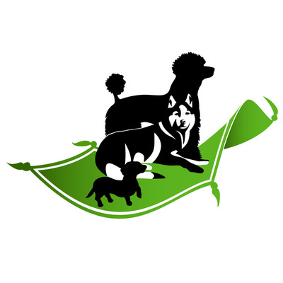 Avatar for Kampfteppich