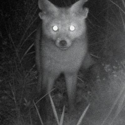 Avatar for Aleph Two