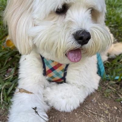 Avatar for julia ⚡