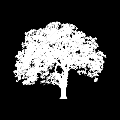 Avatar for Miloš Jovanović