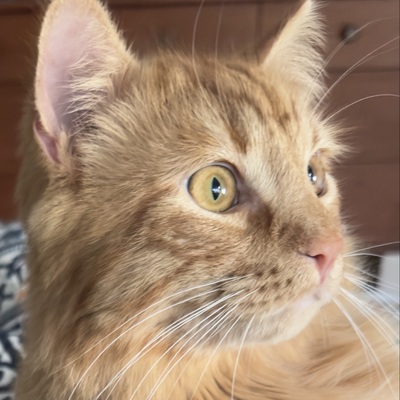 Avatar for Doug