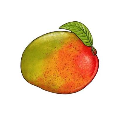 Avatar for Mangolicious