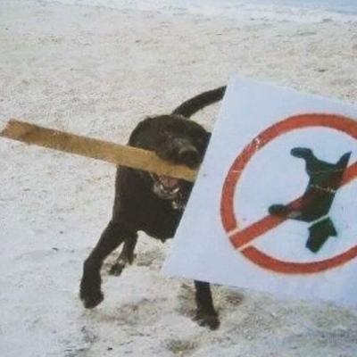 Avatar for MAIMAI NOEL 🎄