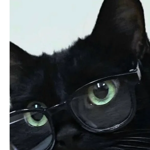 Avatar for 만화좋아하는 해치