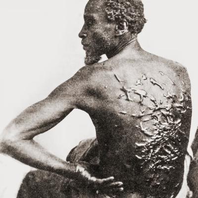 Avatar for Slavery is violence