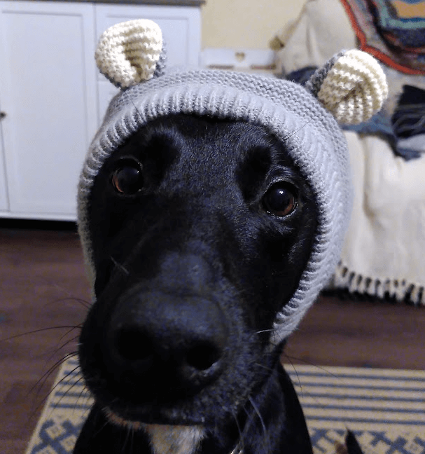 Avatar for Paul Wilde 😺 (snac2 acct)